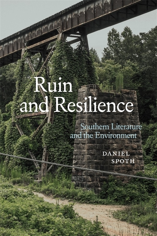 Front cover_Ruin and Resilience