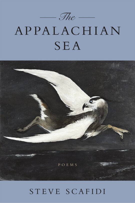 Couverture_The Appalachian Sea