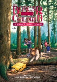 Front cover_Mystery Of The Fallen Treasure