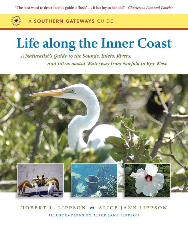 Front cover_Life along the Inner Coast