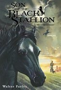 Front cover_Son Of The Black Stallion