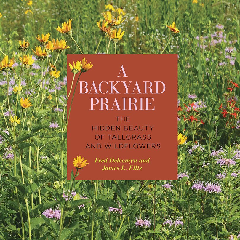 Front cover_A Backyard Prairie