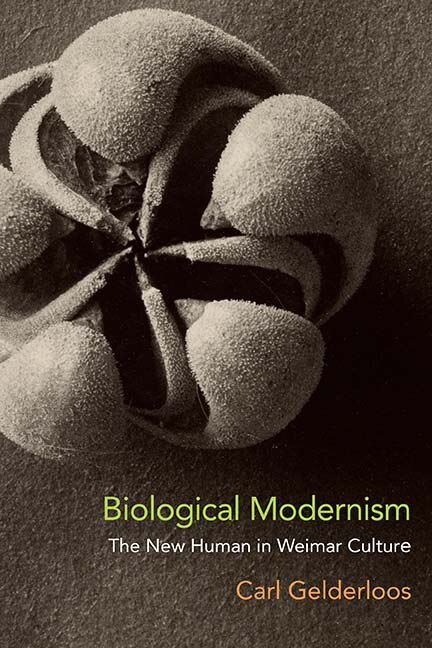 Front cover_Biological Modernism