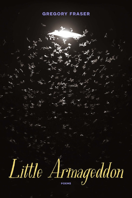 Couverture_Little Armageddon