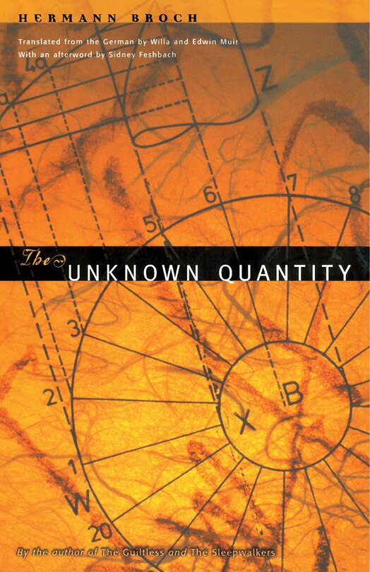 Front cover_The Unknown Quantity