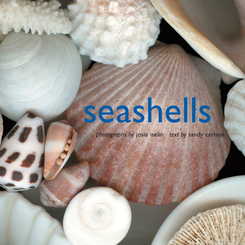 Front cover_Seashells