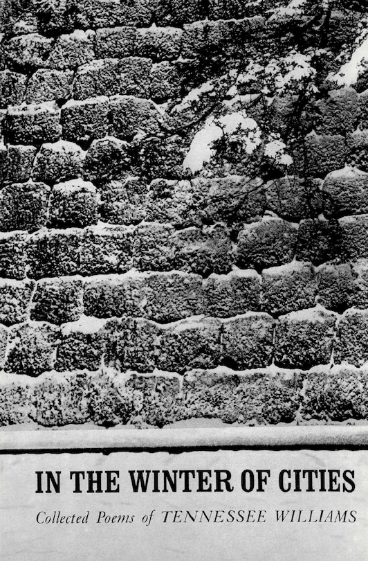 Front cover_In the Winter of Cities