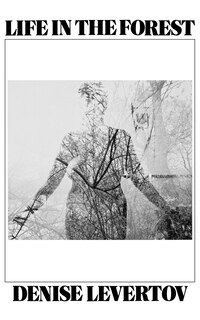 Couverture_Life In The Forest