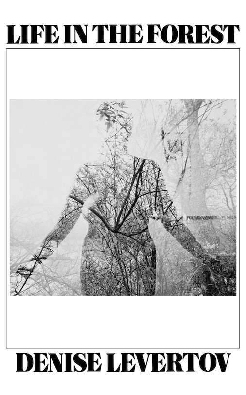 Couverture_Life In The Forest