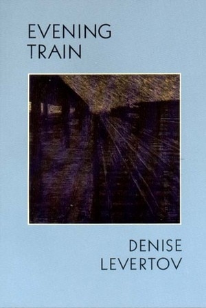 Couverture_Evening Train