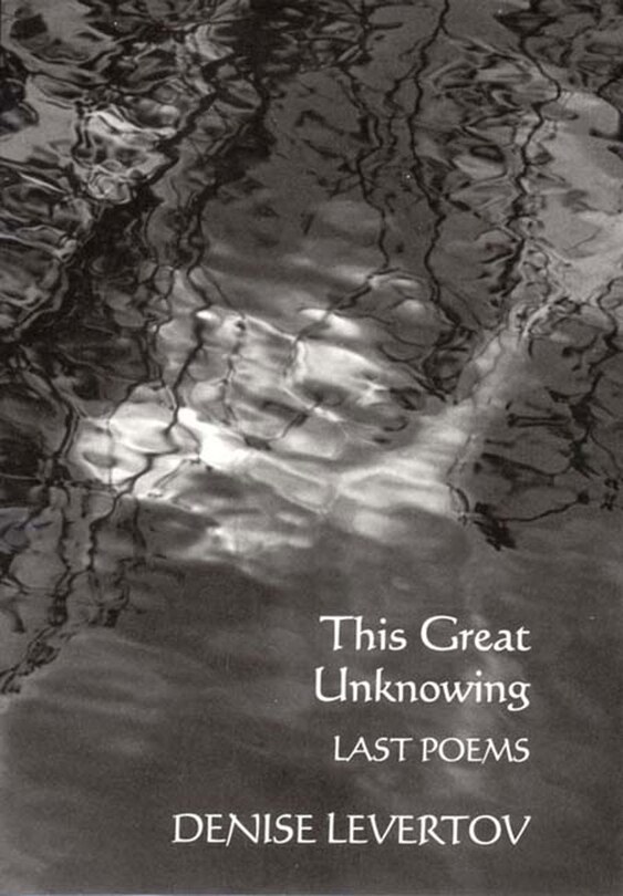Front cover_This Great Unknowing