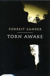 Front cover_Torn Awake