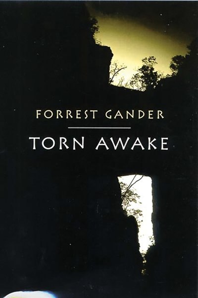 Front cover_Torn Awake