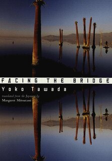 Couverture_Facing The Bridge