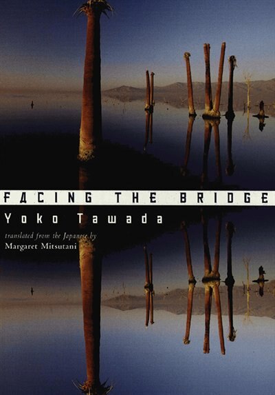 Couverture_Facing The Bridge