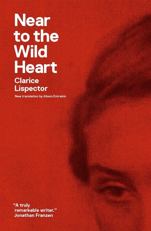 Front cover_Near To The Wild Heart