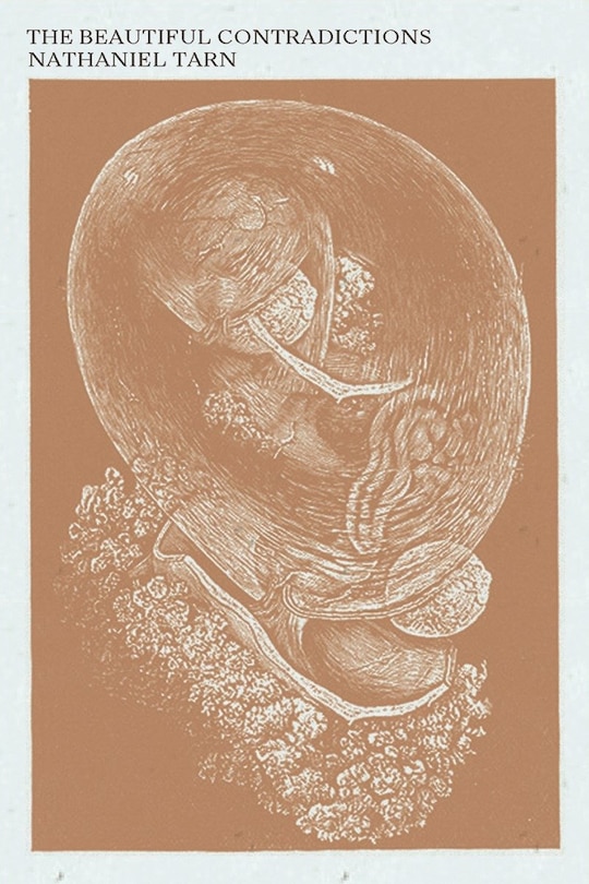 Front cover_The Beautiful Contradictions