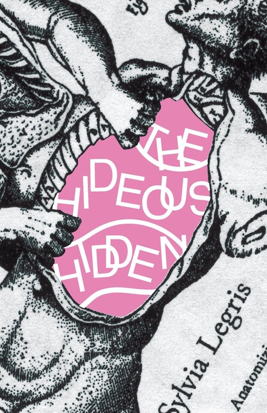 Front cover_The Hideous Hidden