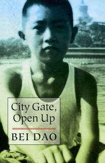 Front cover_City Gate, Open Up