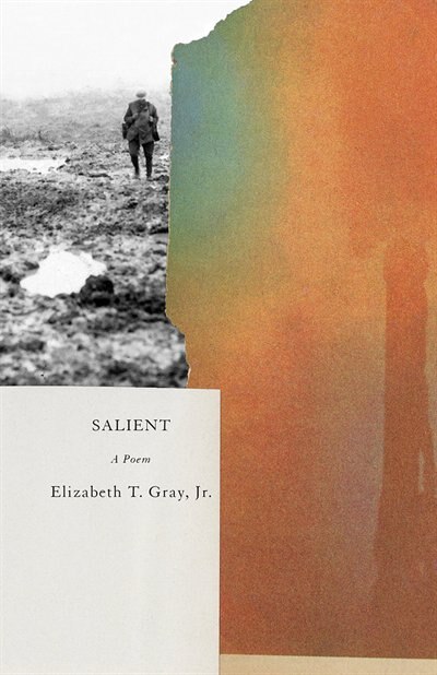 Couverture_Salient