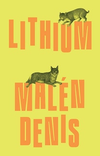 Front cover_Lithium