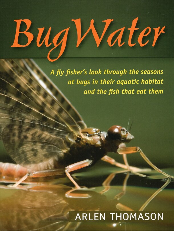 Couverture_Bugwater