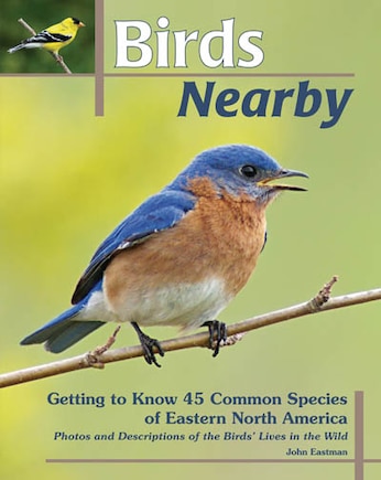 Birds Nearby: Getting To Know 45 Common Species Of Eastern North America