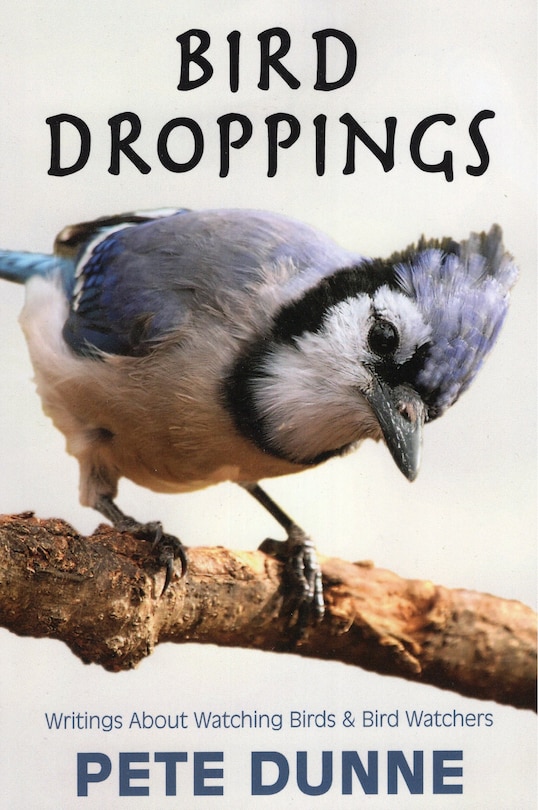 Couverture_Bird Droppings