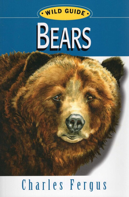 Couverture_Bears