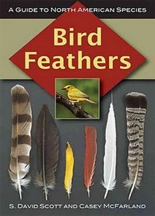 Bird Feathers: A Guide To North American Species