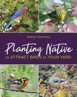Couverture_Planting Native To Attract Birds To Your Yard