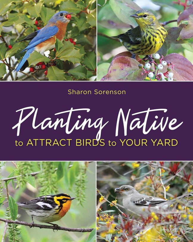 Couverture_Planting Native To Attract Birds To Your Yard
