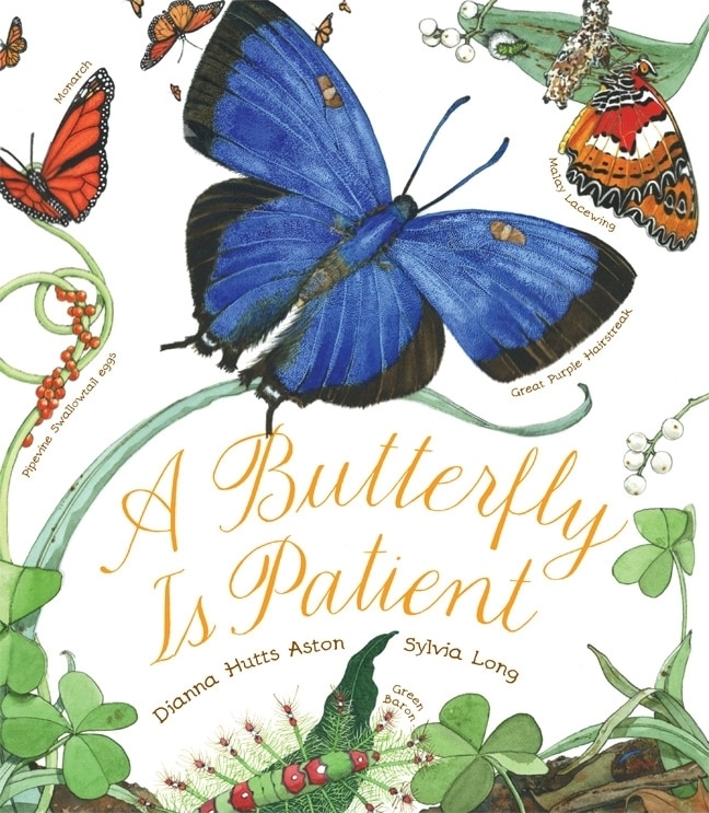 Couverture_A Butterfly Is Patient