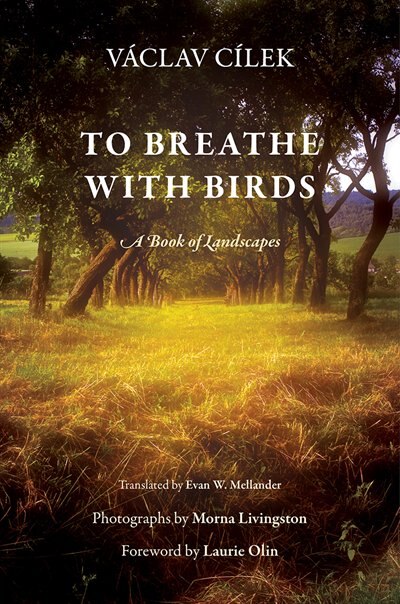 Front cover_To Breathe With Birds