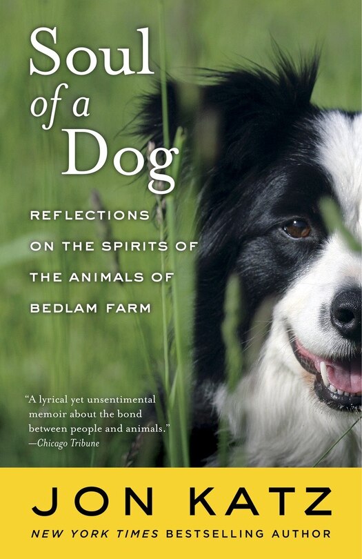Front cover_Soul Of A Dog