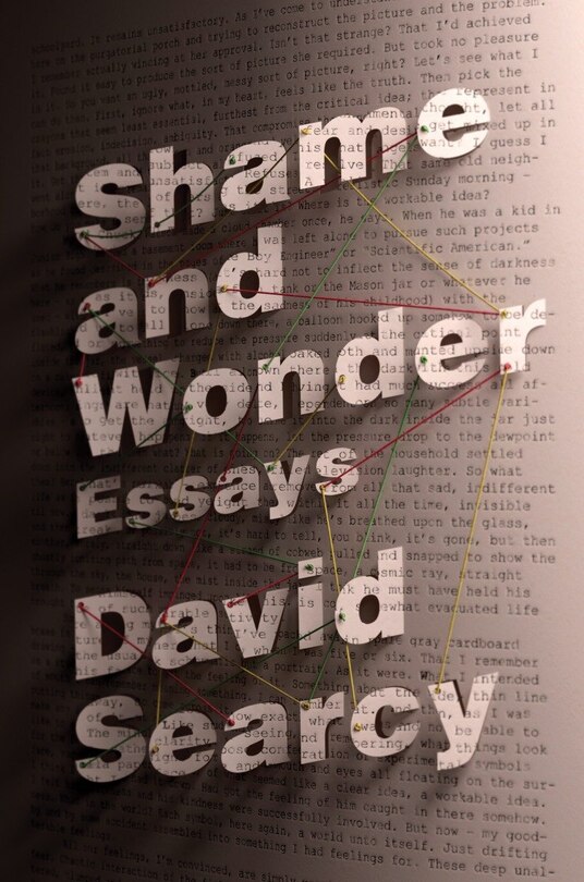 Couverture_Shame And Wonder