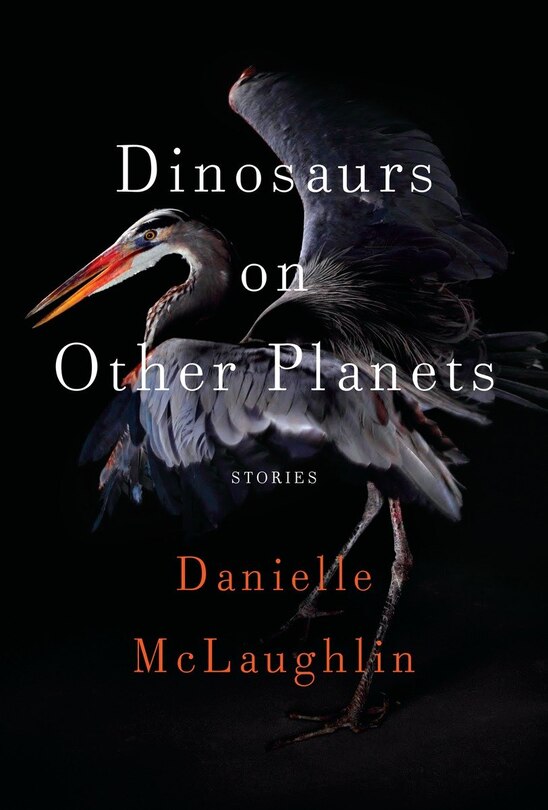Couverture_Dinosaurs On Other Planets