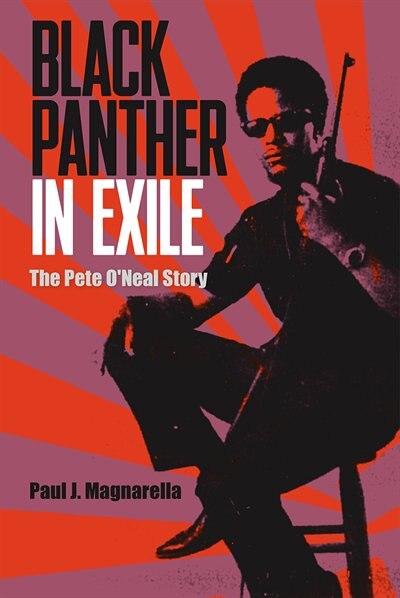 Front cover_Black Panther In Exile