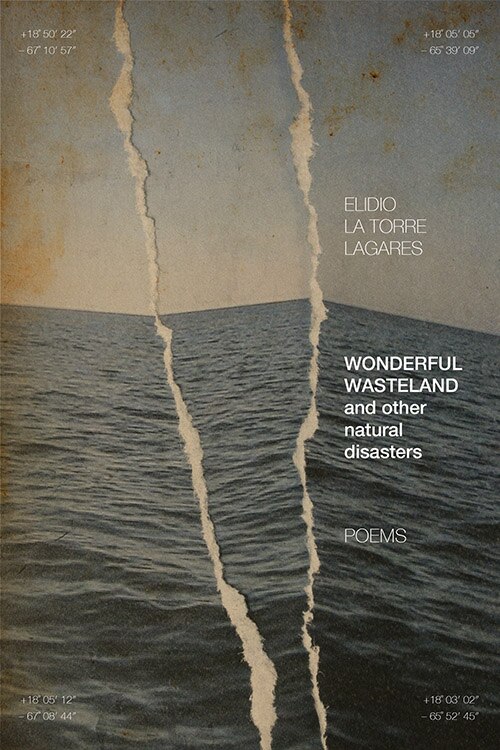 Front cover_Wonderful Wasteland and Other Natural Disasters