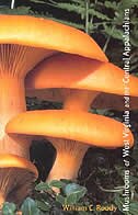 Front cover_Mushrooms Of West Virginia And The Central Appalachians