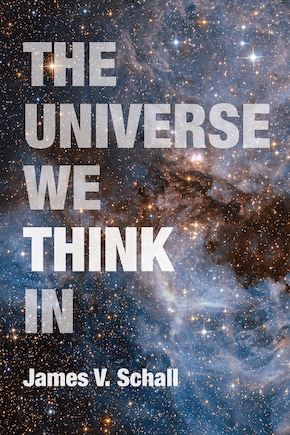 The Universe We Think In