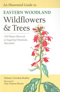 Front cover_An Illustrated Guide to Eastern Woodland Wildflowers and Trees