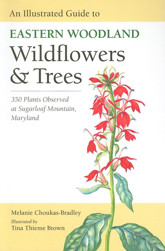 Front cover_An Illustrated Guide to Eastern Woodland Wildflowers and Trees