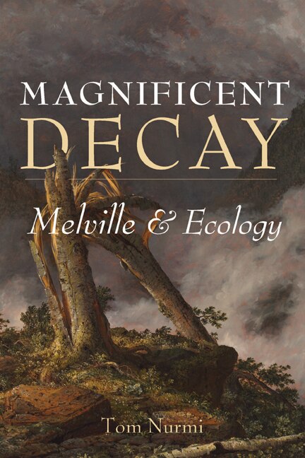 Front cover_Magnificent Decay