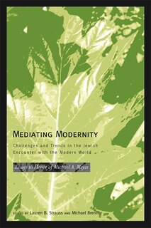 Front cover_Mediating Modernity