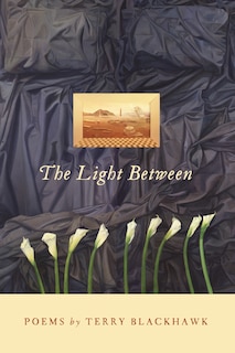 Front cover_The Light Between