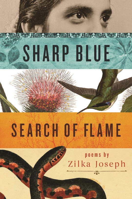 Front cover_Sharp Blue Search of Flame