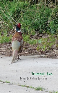 Front cover_Trumbull Ave.