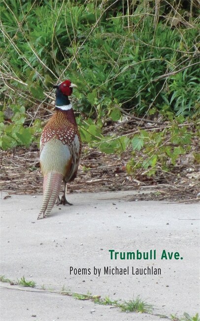Front cover_Trumbull Ave.
