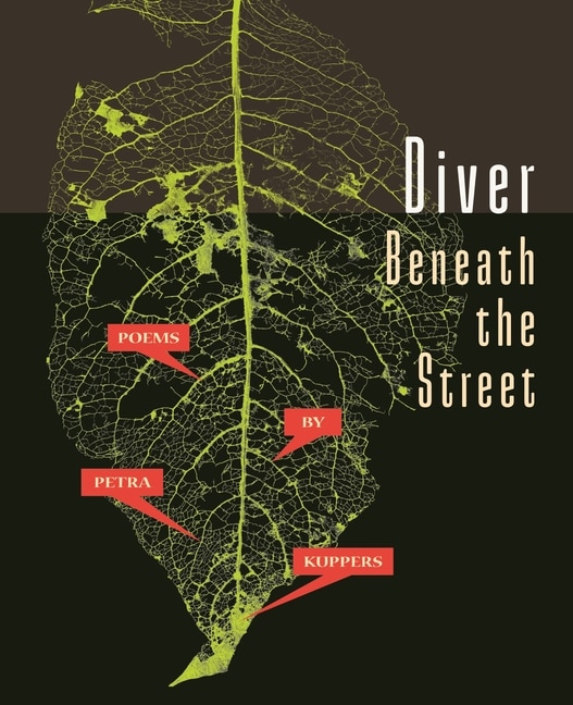 Front cover_Diver Beneath the Street